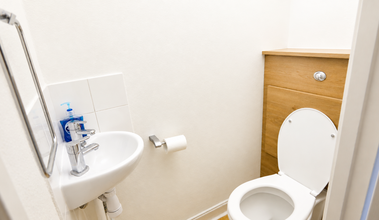 Separate toilet