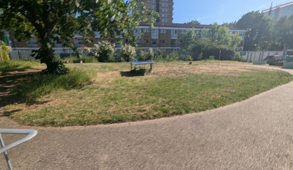 Communal garden (2)