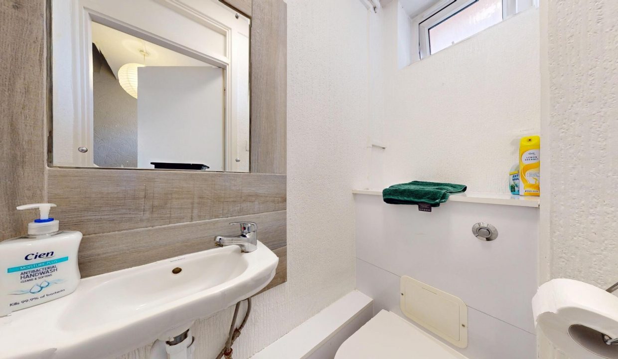 toilet4