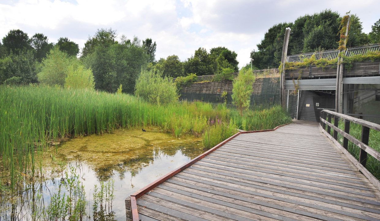 ecology pavillion MEP