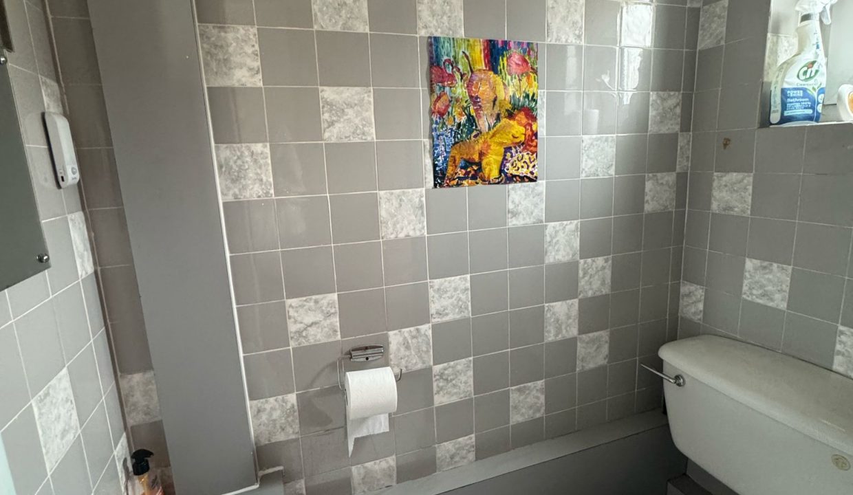 Toilet 1