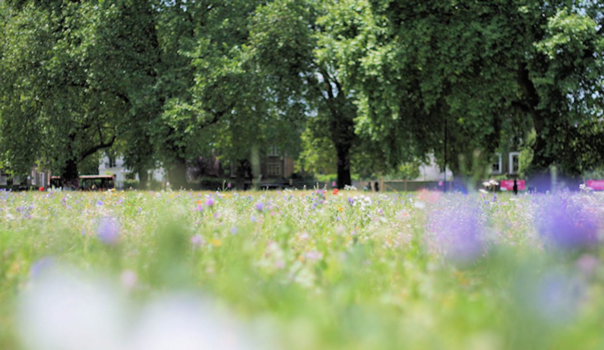 London-Fields-park